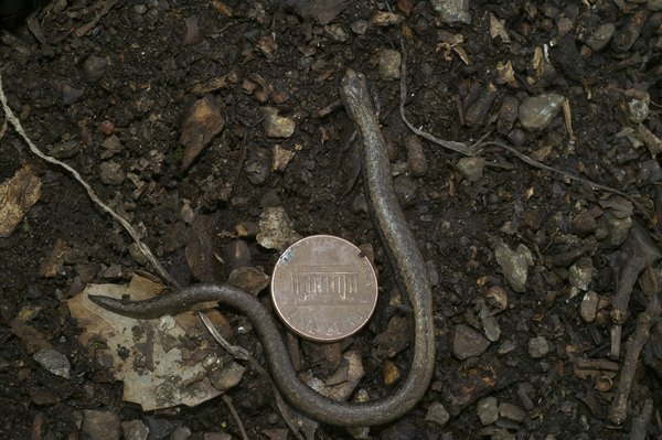 Scanner professionnel comparatif