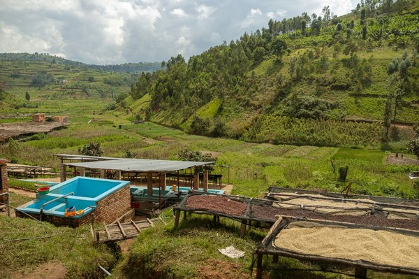 Comment se débarrasser de vieilles diapositives ?